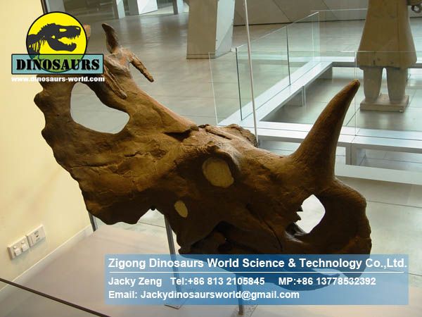 Animatronic dinosaurs skeleton replica Triceratops Head DWF005
