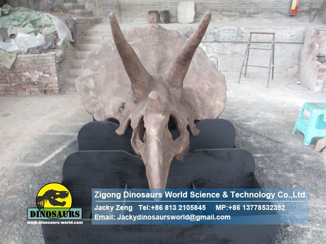 High Quality Handmade Vivid Dinosaur Triceratops Head Fossil DWF006-1