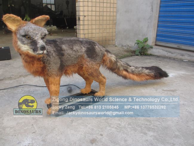 Robot Animal Factory Real size Animatronic Gray Fox DWA151