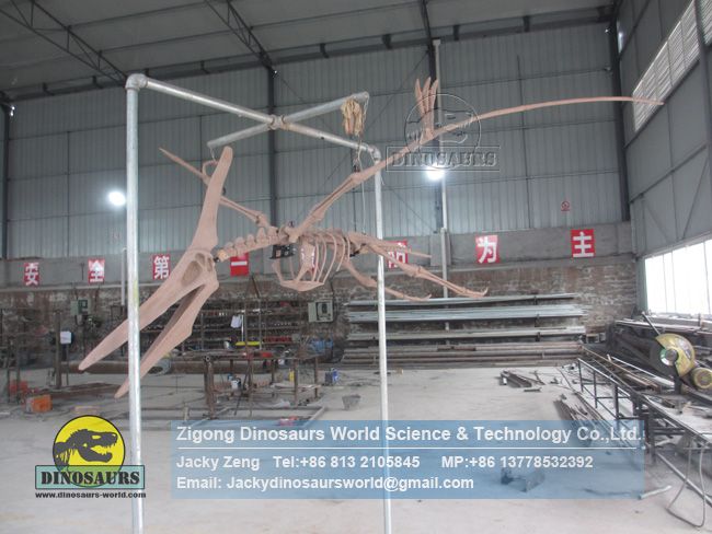 Custom museum exhibition pterosaur complete skeleton replica DWS036