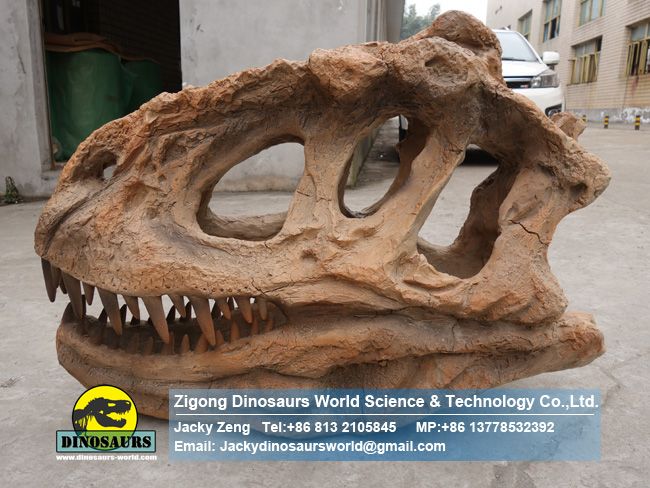 Large artificial dinosaur fossils yangchuanosaurus skull replicas ZD09