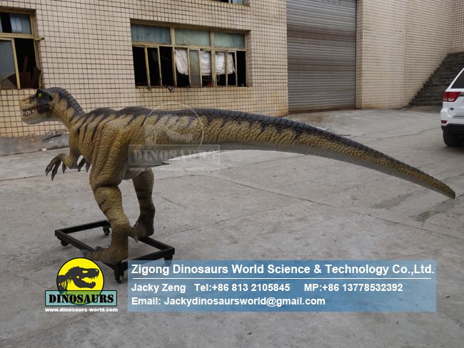 Theme park equipment Artificial dinosaur Velociraptor DWD242 ​