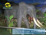 Life size Elephant exhibition animals DWA005