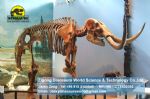 Prehistoric mammoth animal skeleton model for Museum DWS005