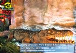 Animal statue equipments animatronic exhibition alligator/crocodile DWA034 