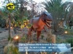 Walking with dinosaurs discovery showroom (Tyrannosaurus Rex) DWD088