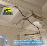 Showroom science dinosaurs skeleton replica pterosaurs DWS012