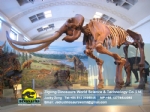 National museum simulation mammoth skeleton DWS028