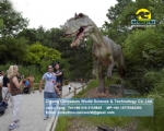 Big allosaurus in zigong animatronic dinosaur factory DWD1456