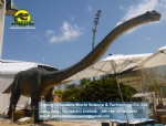 Robotic dinosaur CE standard alive animated Big Mamenchisaurus DWD1473