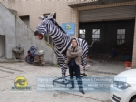 Animatronic Animals Model Robotic Zebra DWA155