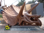 Schools use artificial Triceratops skull model DWF019