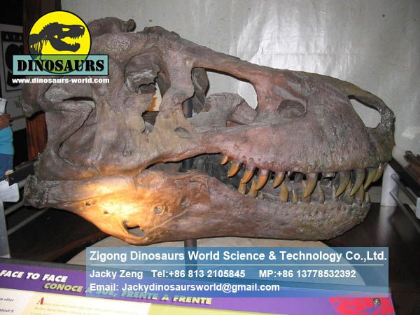 Adventure park hall products ( Tyrannosaurus Rex Head ) DWF004