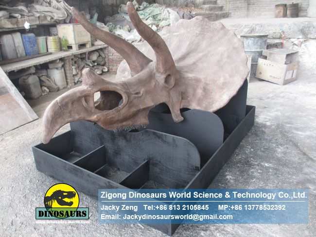 High Quality Handmade Vivid Dinosaur Triceratops Head Fossil DWF006-1