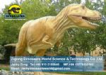 Playground amusement equipment animatronic dinosaur (T-Rex) DWD123
