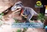 Artificial dinosaur for amusement park (Tyrannosaurus Rex) DWD146