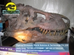 Adventure park hall products ( Tyrannosaurus Rex Head ) DWF004