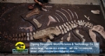 Dinosaur Fossil Burial Site Young T-Rex DWF010