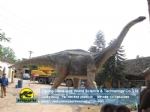Jurassic world diberglass life size titanosaur​​ dinosaur replica DWD211