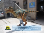 Movie theme park looks like T-Rex dinosaur costume DWE3324-25