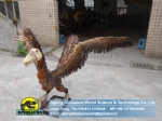 Artificial dinosaur late jurassic archaeopteryx model DWD5225