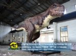 The largest creature dinosaurs animatronic versions T-Rex DWD238